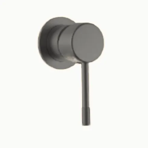 Concealed shower valve, brushed gun metal