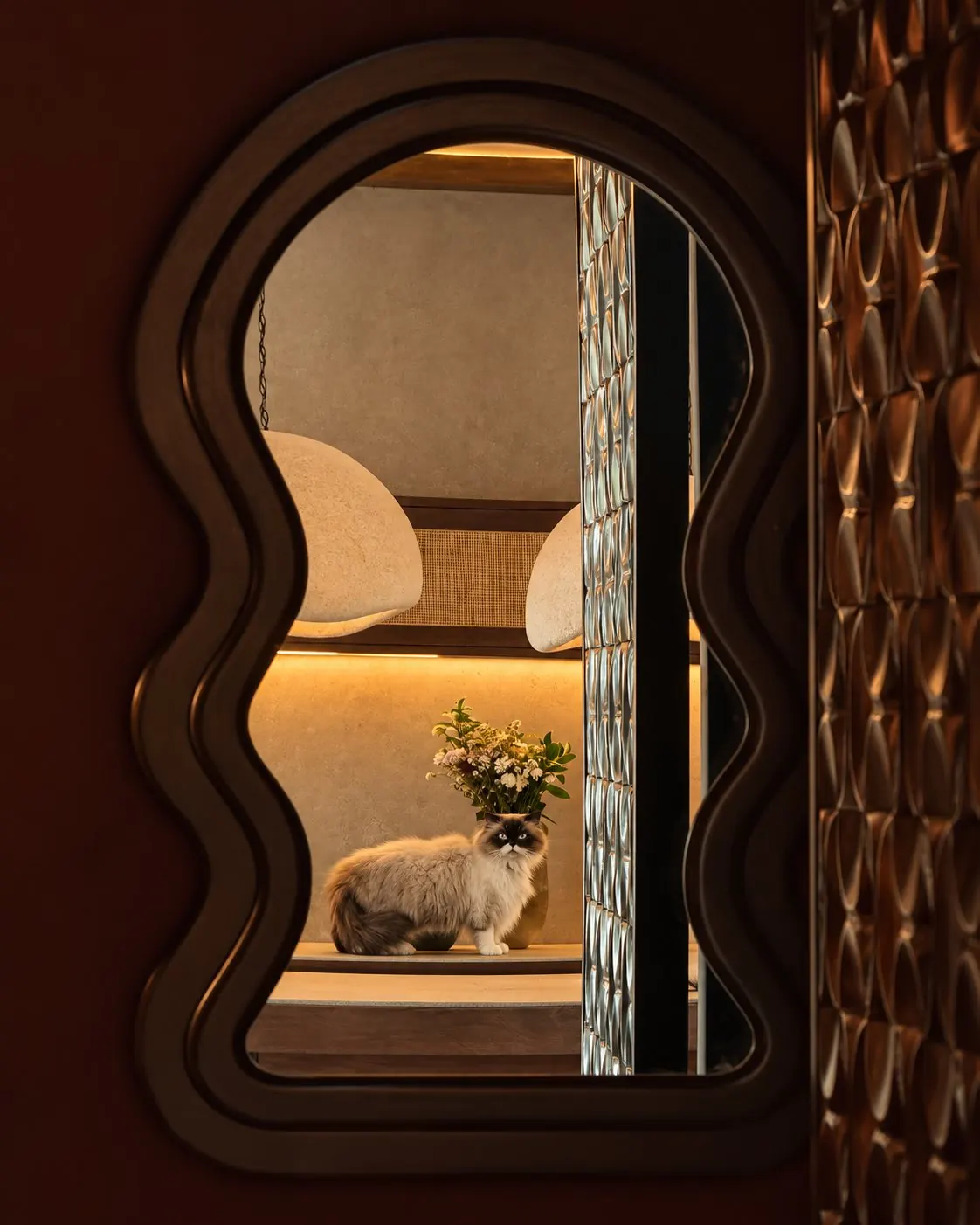 The kitchen seen through the wavy mirror of the powder room, plaster pendants and a cat on the island