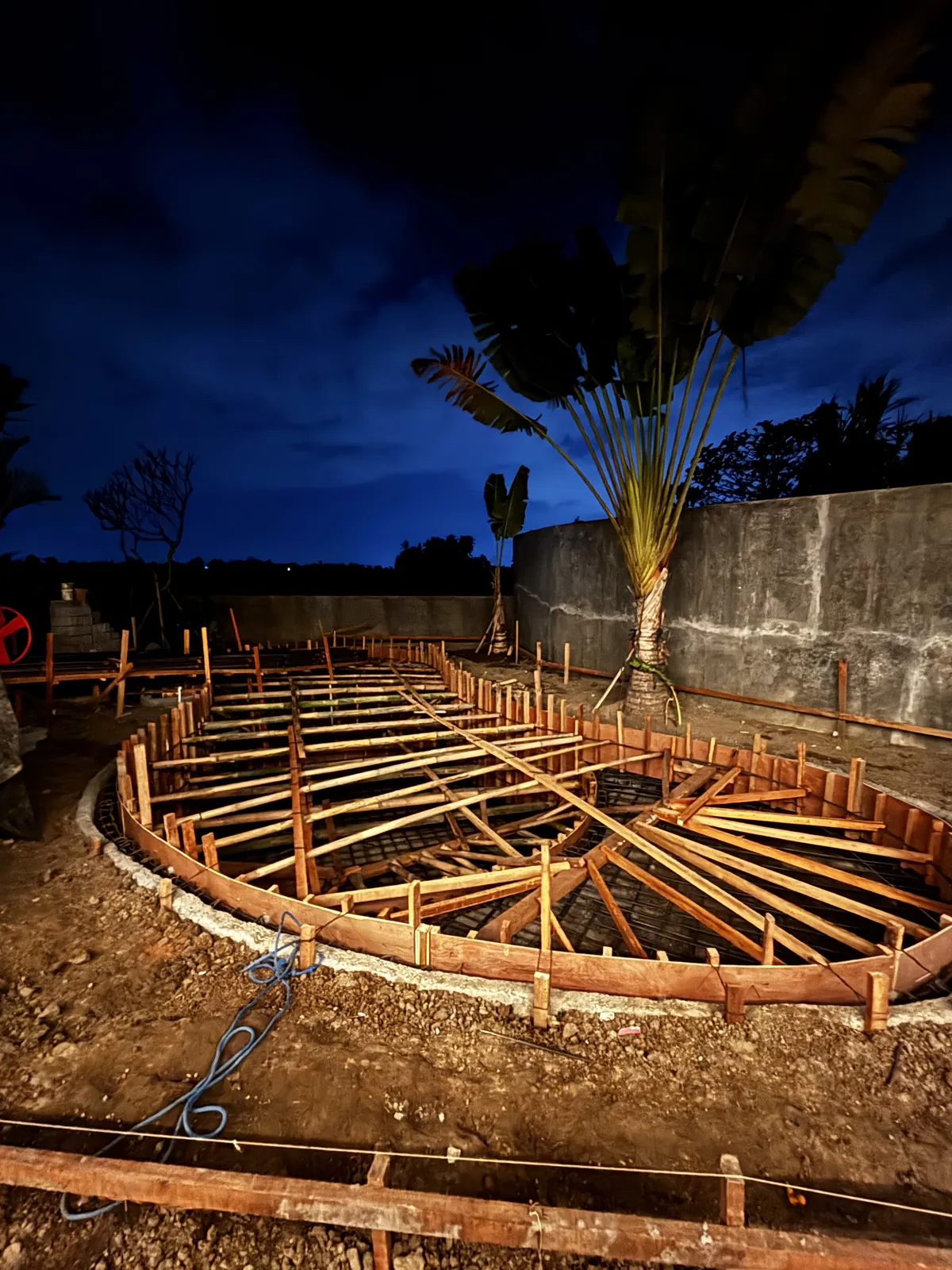 The pool at night: curved timber formwork and bamboo props over the reinforcement, a traveller's palm against the boundary wall